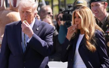 Trump chama iranianos de 'animais' e nega que ataque a instalações de energia seja crime de guerra