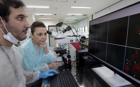 Unifesp prepara atividades de centro de diagnóstico molecular