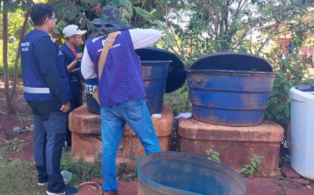 Chikungunya: ministro classifica como crítica situação em Dourados