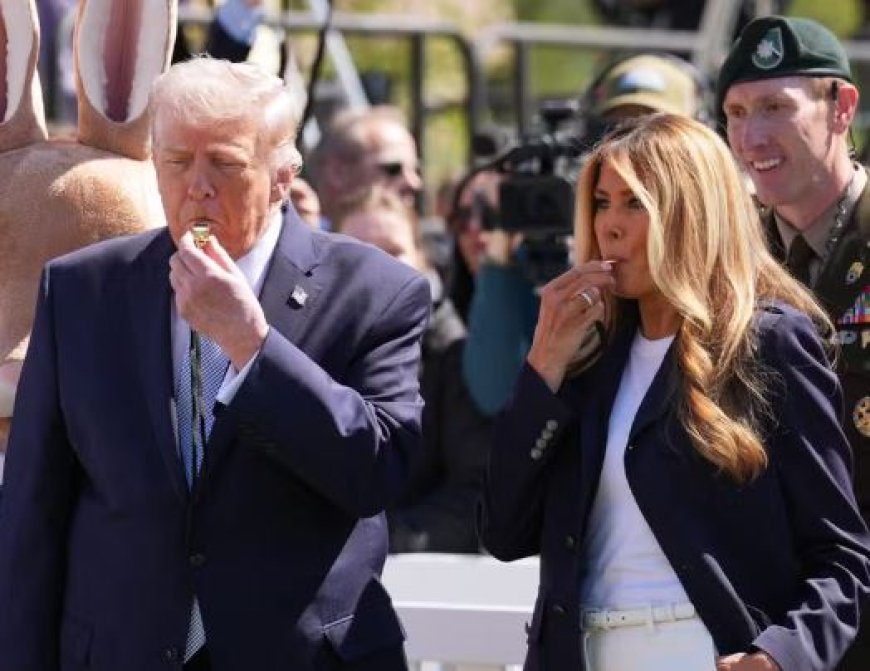 Trump chama iranianos de 'animais' e nega que ataque a instalações de energia seja crime de guerra